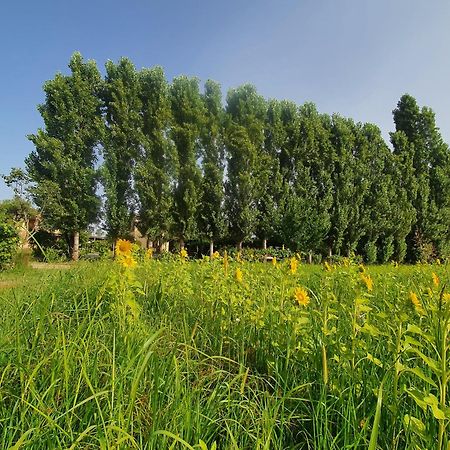 Fattoria Il Giardo Leilighet Pietrasanta Eksteriør bilde