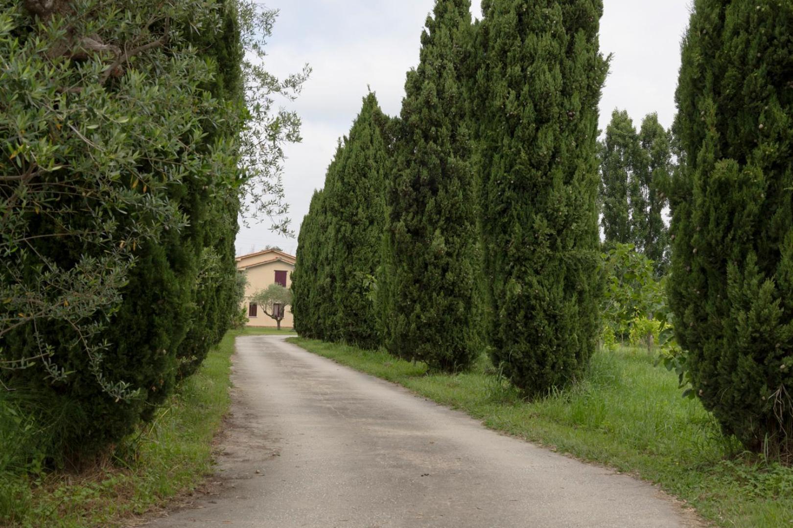 Fattoria Il Giardo Leilighet Pietrasanta Eksteriør bilde