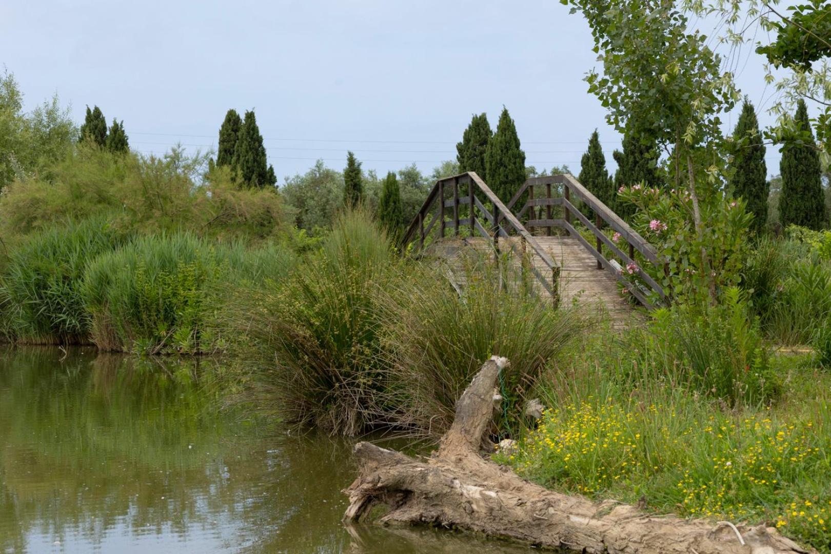 Fattoria Il Giardo Leilighet Pietrasanta Eksteriør bilde