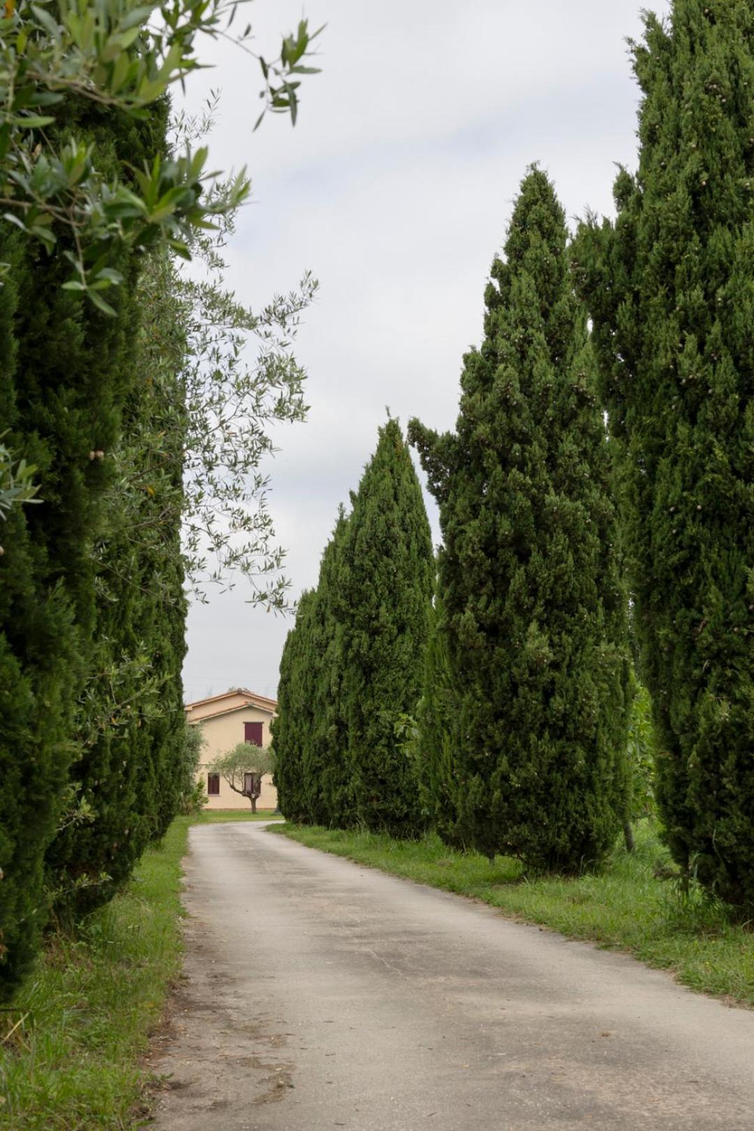 Fattoria Il Giardo Leilighet Pietrasanta Eksteriør bilde